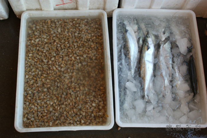寿光羊口海鲜_羊口港_海鲜火锅