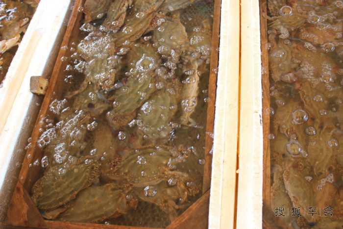 寿光羊口海鲜_羊口港_海鲜火锅