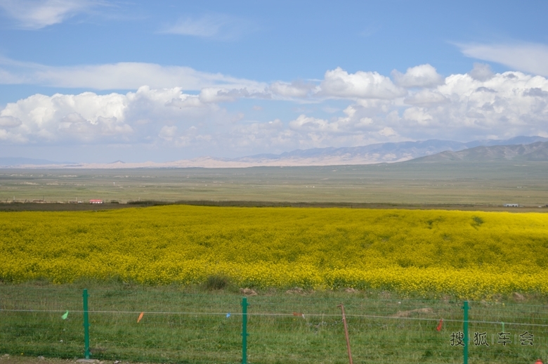 青海湖一日游120i敞篷和POLO同行,还有F150