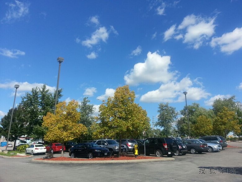 多伦多每年一次的三文鱼逆流冲坝回归_中国自