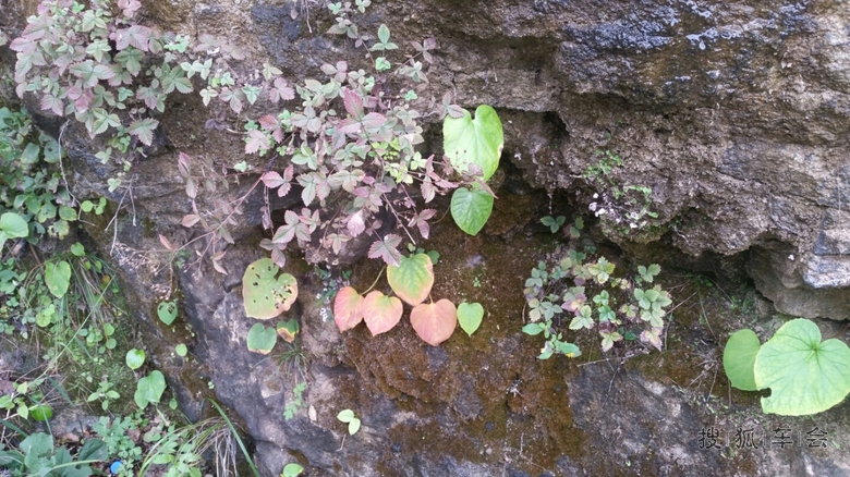 十渡一日游~_速腾-我行我速