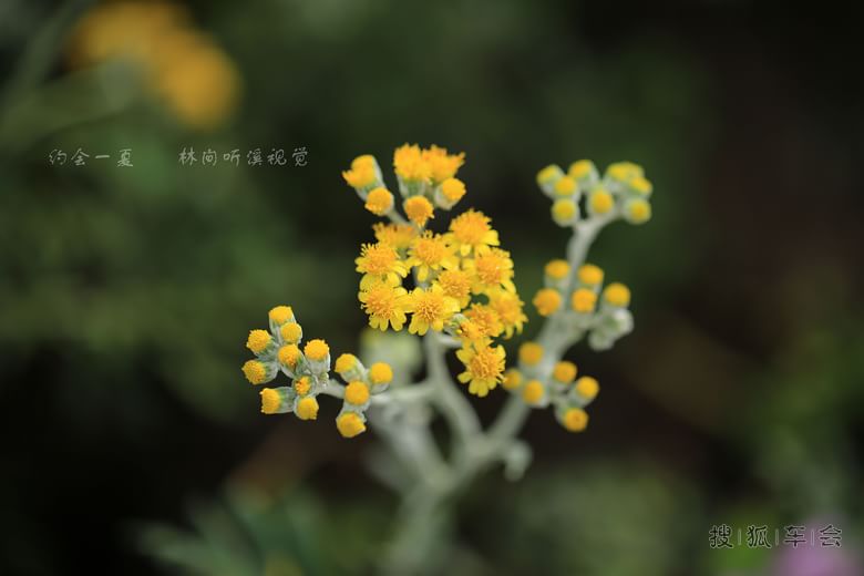 2014年9月26日 星期五 打卡_北京炫丽人生平车