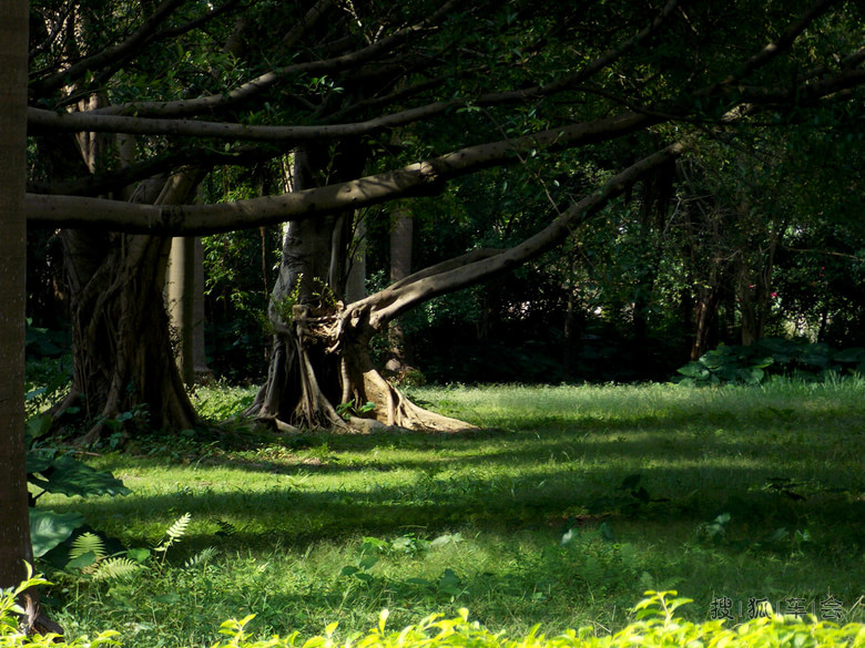 【大美中国9月】广州云山生态园