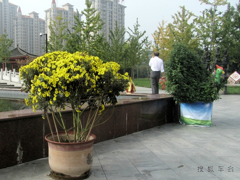 18980534.jpg_s780