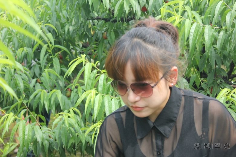 慈溪奥迪群6.3采摘桃子自驾游圆满结束_奥迪A