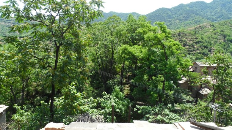 邢台猫友自驾游---英谈 (海量图片)