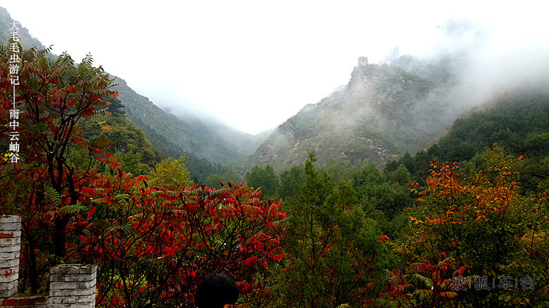 【大毛毛虫游记】雨中漫步云岫谷,云雾缭绕好