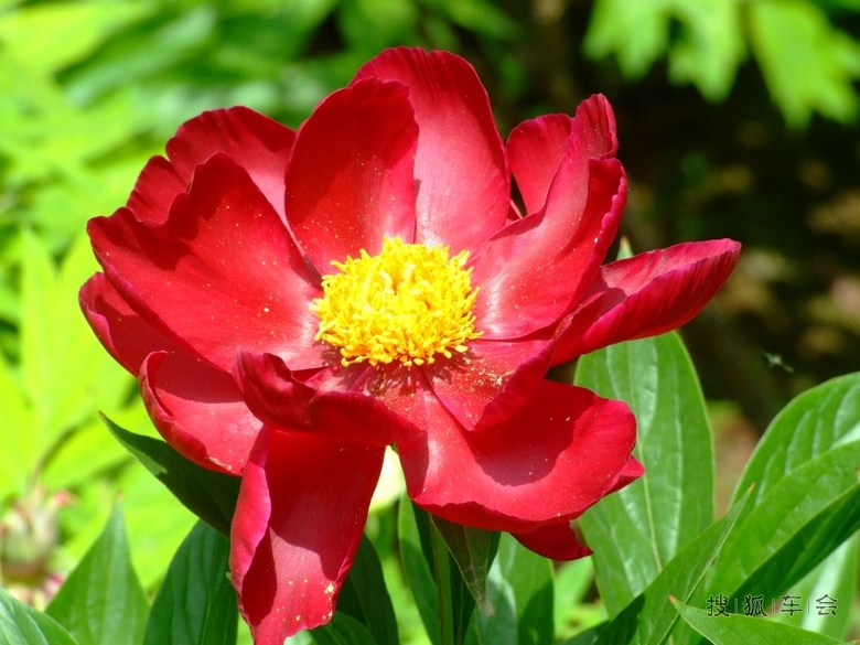 19256663.jpg_s780