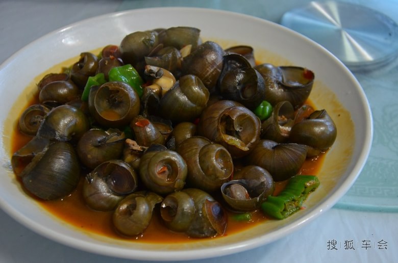 【五一自驾游】吃喝玩乐之余遭凯迪拉克强行追