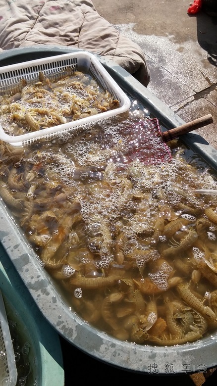 天津北塘哪买海鲜_天津北塘集装箱海鲜街_天津地图