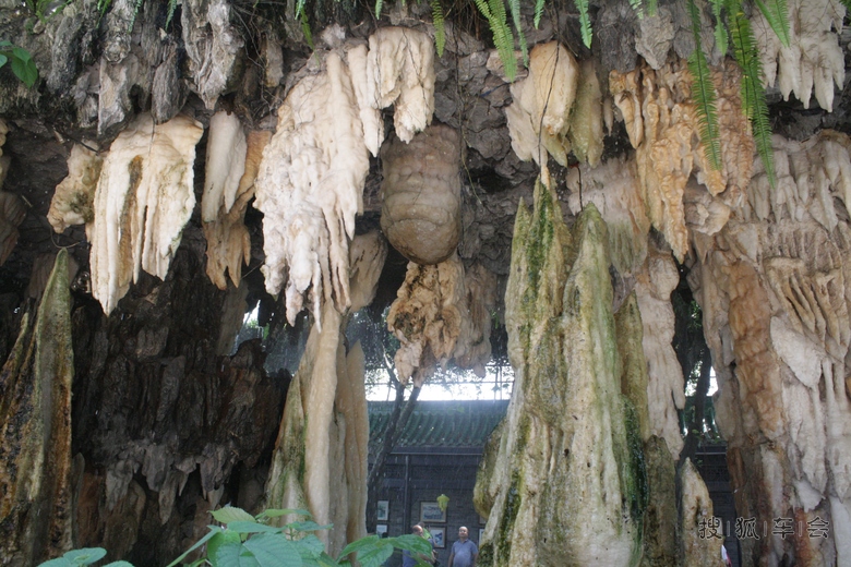 【我眼中的世界】--番禺宝墨园自驾游_汽车60