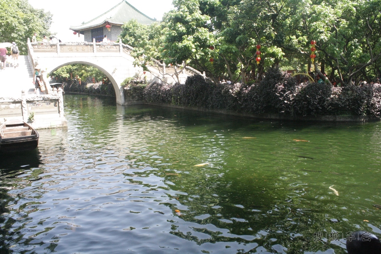 【我眼中的世界】--番禺宝墨园自驾游_汽车60