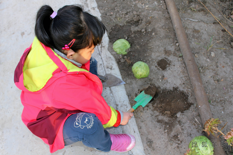 2014年十一张家口草原行--种菜篇!_迈腾-腾云