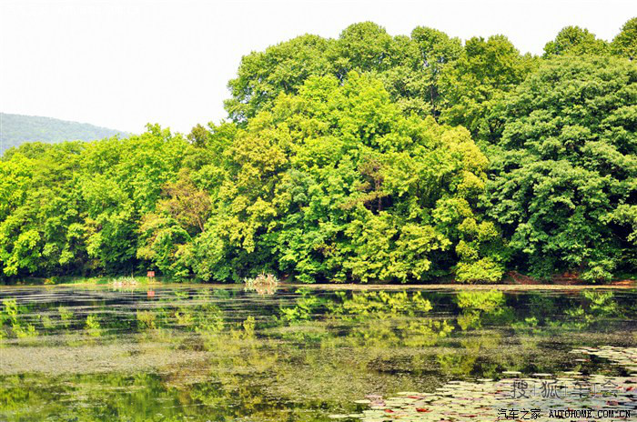 【我行我摄】秋意钟山,快意人生!_奥迪Q5论坛