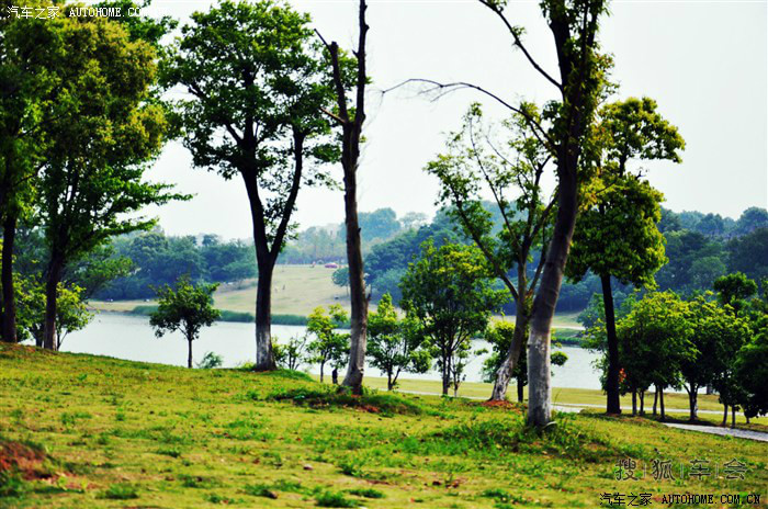 【我行我摄】秋意钟山,快意人生!_奥迪Q5论坛