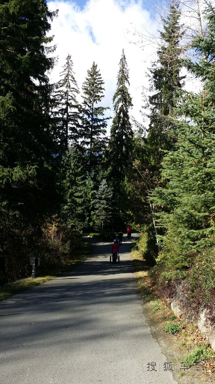 温哥华之行(冬奥会所在地的高尔夫球场)_海淀