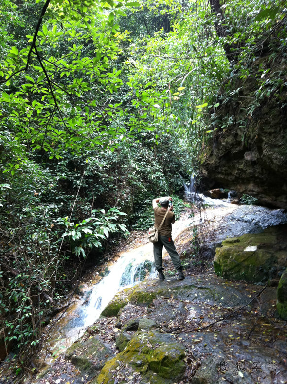 【粤野车友】广州RAV4花都王子山登高自驾