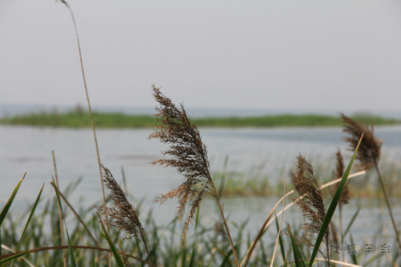 山东淄博车友 伍.壹 苏州游 大量图