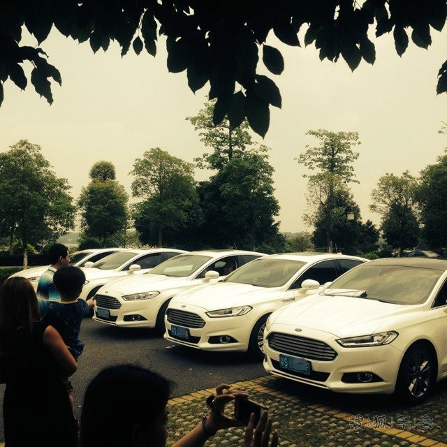 东莞挺住!灾后东莞新蒙第一次聚会海量聚会图