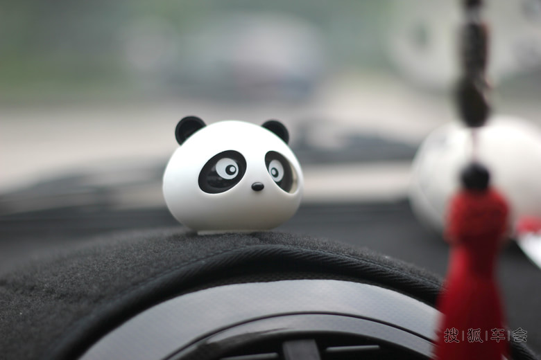 收二手猫半年后,终于求认证,能不能射看版主了