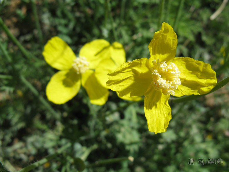 山中归来说风景--临汾一平垣掠影