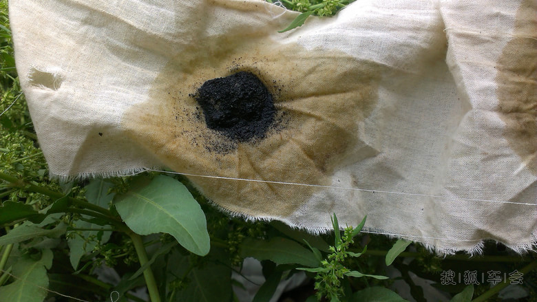 第一次作业,全部原创,清洗燃烧室及进气门背!求