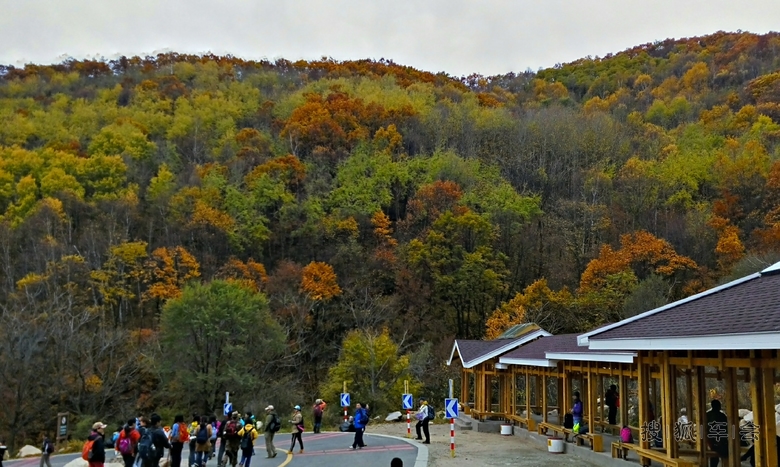 喇叭沟秋色全景图一张,手机拍摄
