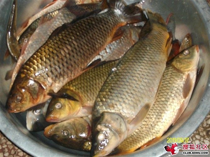 钓到好多鱼