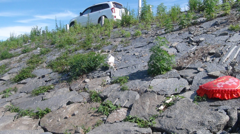 我驾虎子去垂钓---关东飞雪钓鱼日记(二)