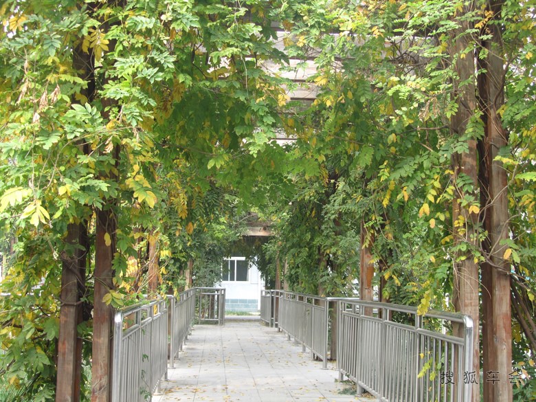 【公益活动】上庄镇敬老院