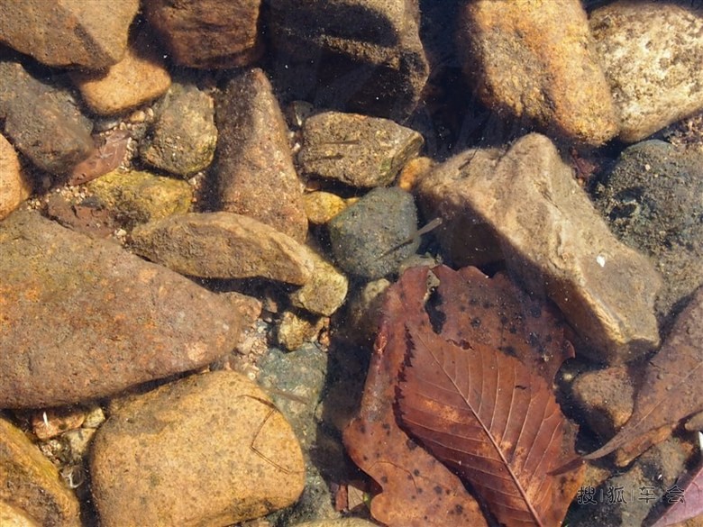 十一小长假 丹东蒲石河家庭聚会一日游