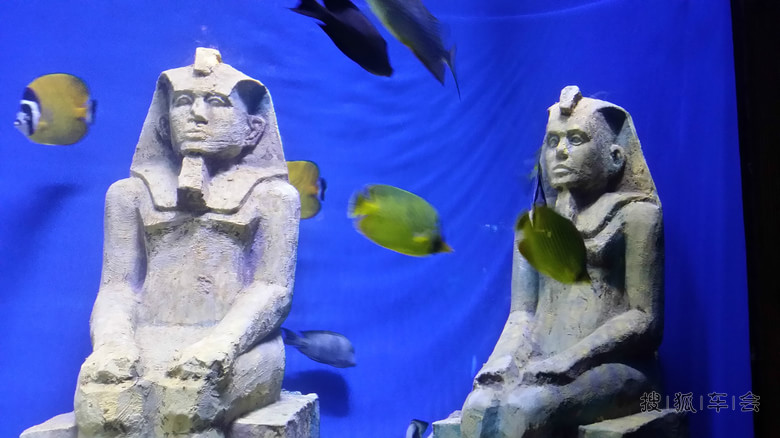 记狼友和地区论坛车友的7月海边联谊行.