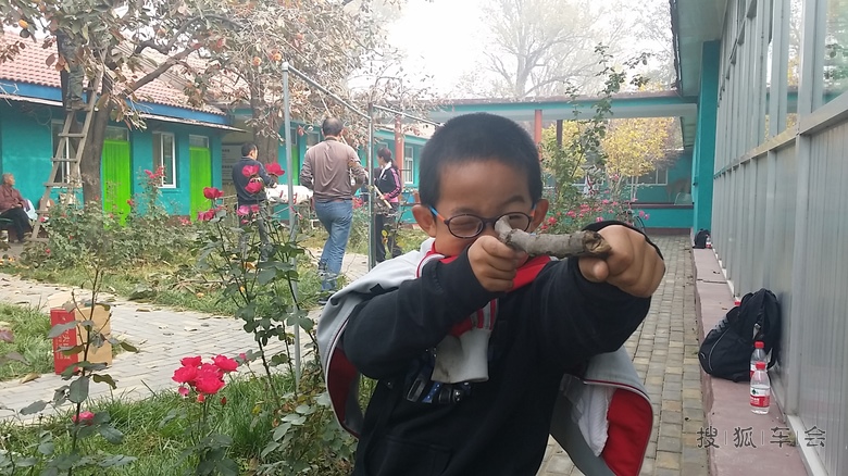 参加海淀上庄镇养老院摘柿子公益活动_人在旅