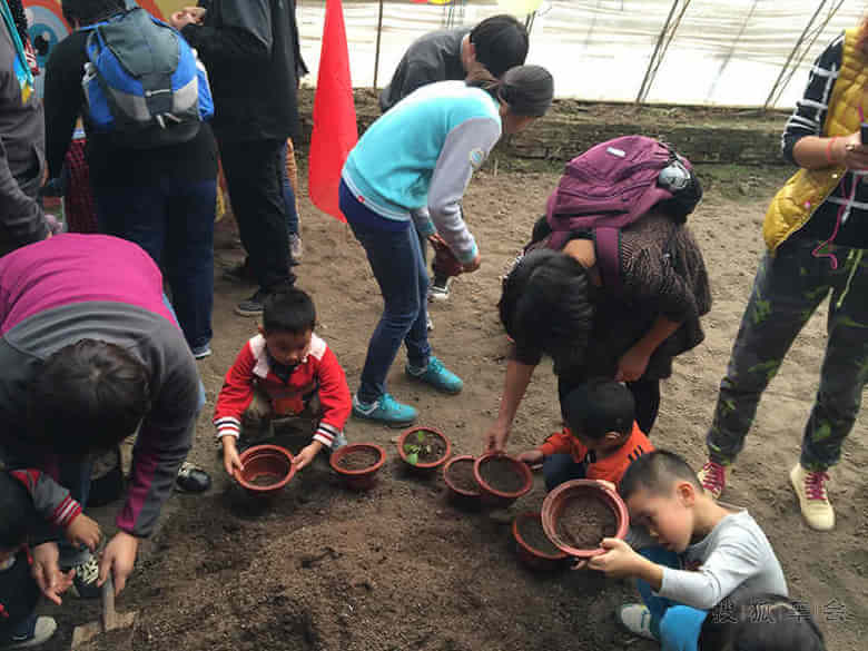 五田六园之菜园-金秋收获旅 快乐芦西园