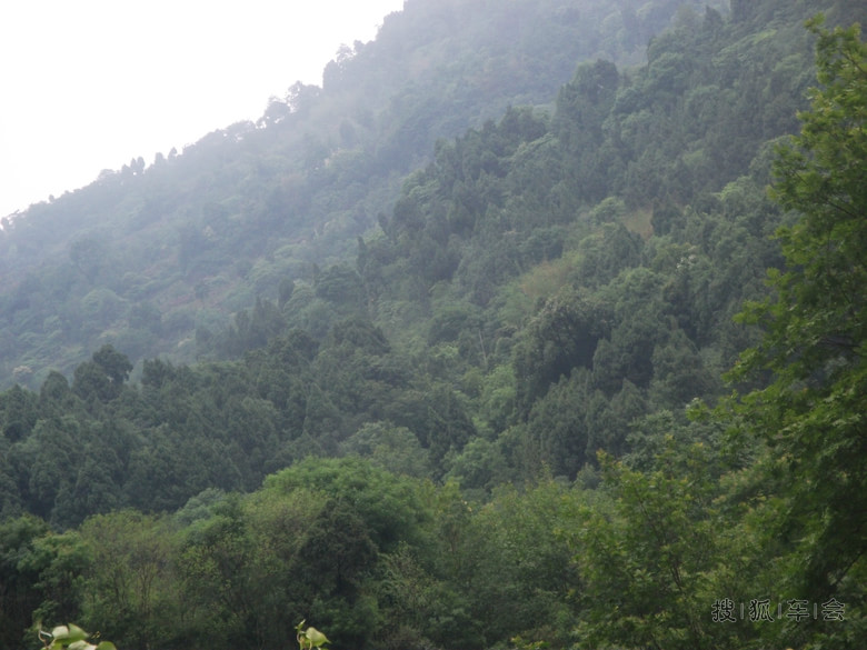 探访 青白江 人和乡 清新空气