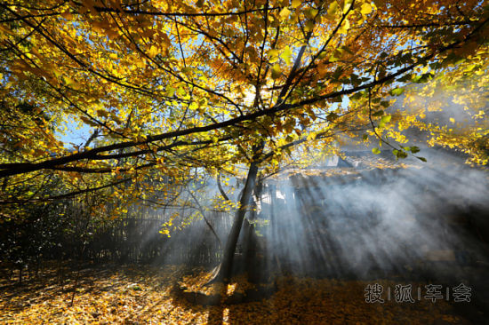 腾冲银杏村,热海,和顺古镇,大理古城自驾6日游