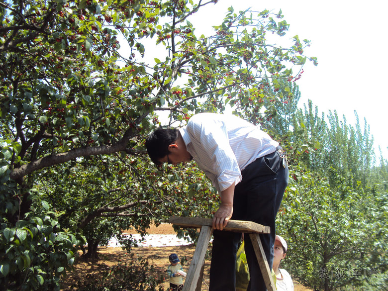 我和小四的幸福生活 悠然自得_长城M4论坛_搜