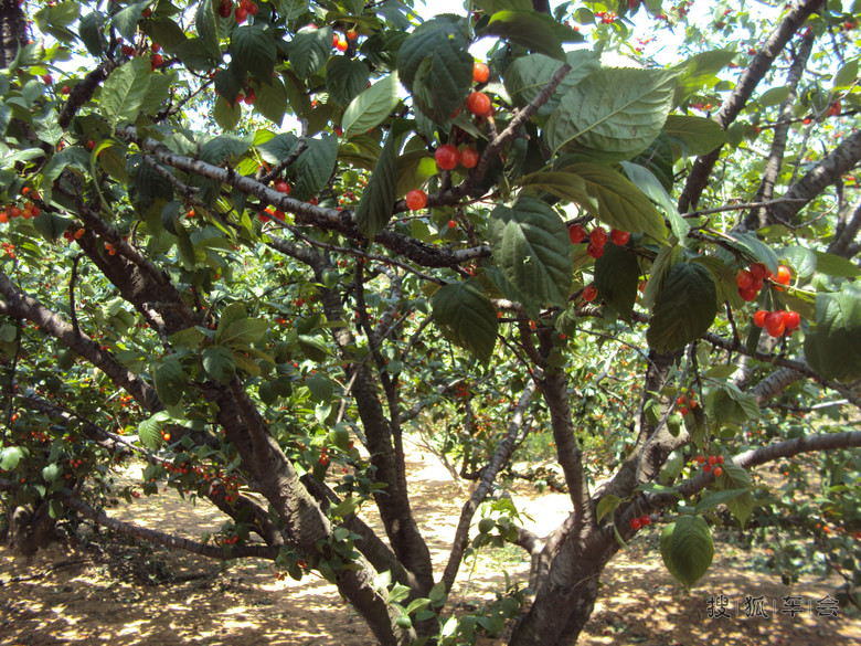 我和小四的幸福生活 悠然自得_长城M4论坛