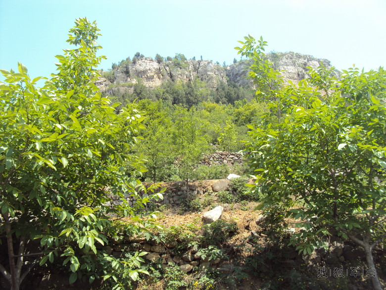 我和小四的幸福生活 悠然自得_长城M4论坛