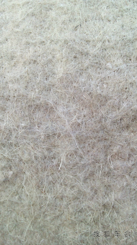 分享-呼伦贝尔 哈尔滨 五日游