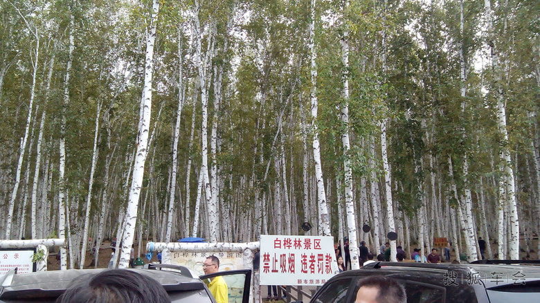 分享-呼伦贝尔 哈尔滨 五日游