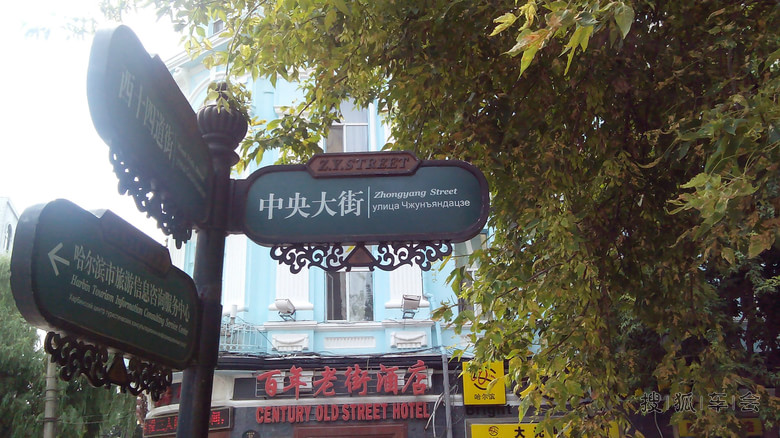 分享-呼伦贝尔 哈尔滨 五日游