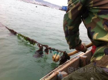 蓬莱哪里吃海鲜_深圳澳头吃海鲜_太监是割哪里