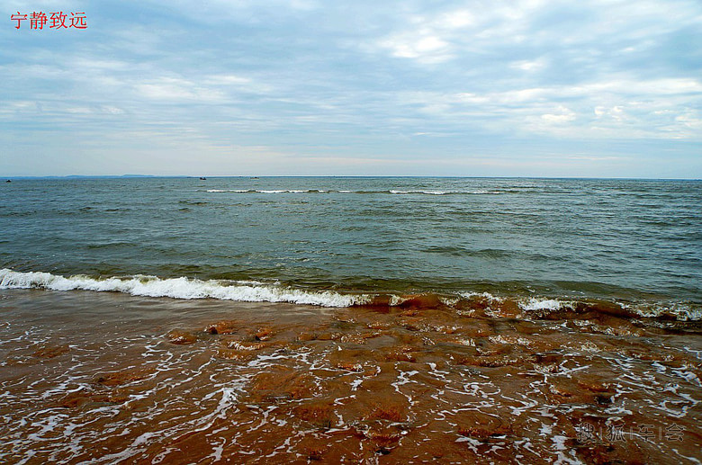 老伙计海鲜酒家_奕景海鲜酒家_京新酒家