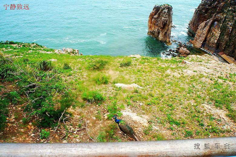 老伙计海鲜酒家_奕景海鲜酒家_京新酒家(2)