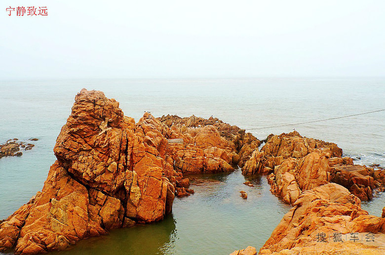 老伙计海鲜酒家_奕景海鲜酒家_京新酒家