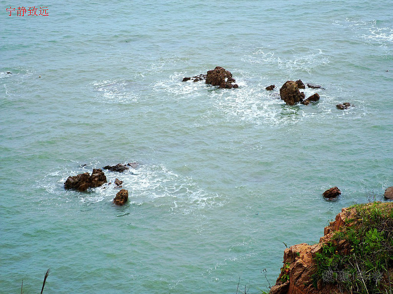 老伙计海鲜酒家_奕景海鲜酒家_京新酒家