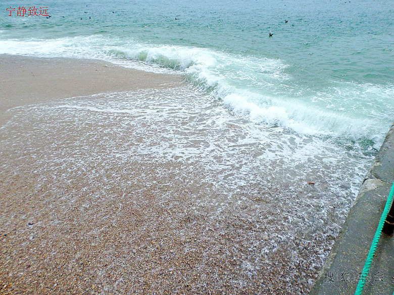 老伙计海鲜酒家_奕景海鲜酒家_京新酒家(2)