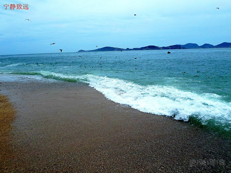 老伙计海鲜酒家_奕景海鲜酒家_京新酒家