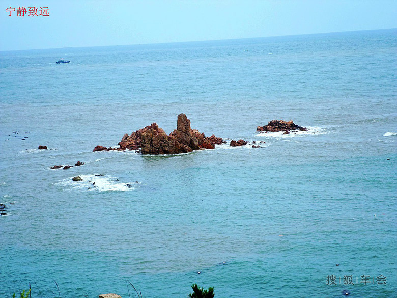 老伙计海鲜酒家_奕景海鲜酒家_京新酒家